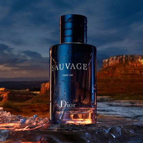 sauvage eau de toilette spray von dior 37|Dior Sauvage perfume cheapest price.